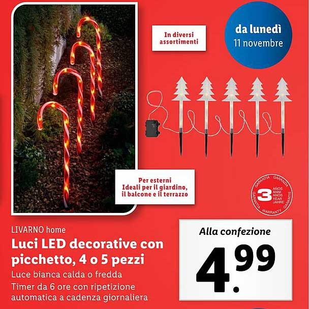 Luci LED decorative con picchetto, 4 o 5 pezzi