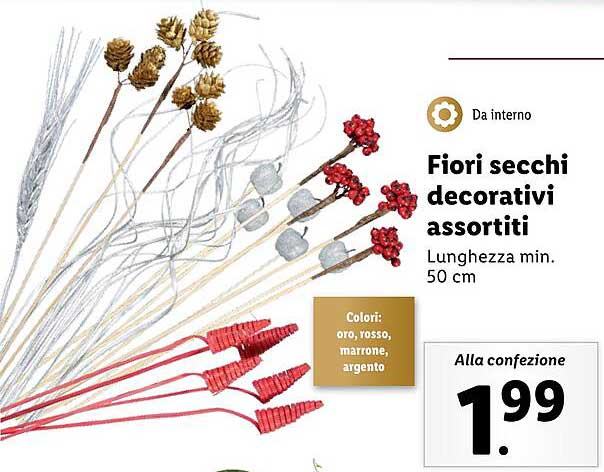 Fiori secchi decorativi assortiti