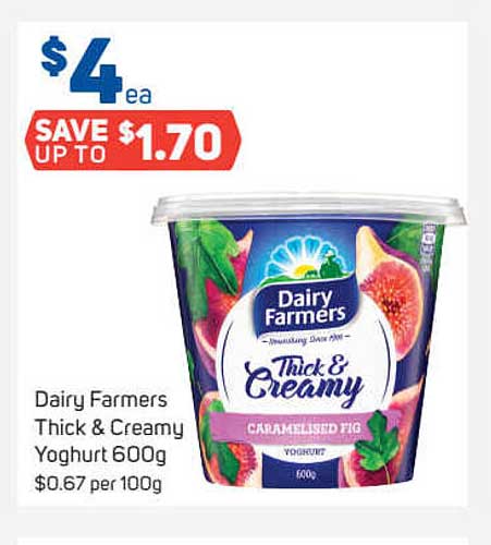 Dairy Farmers Thick & Creamy Yoghurt Offer at Foodland