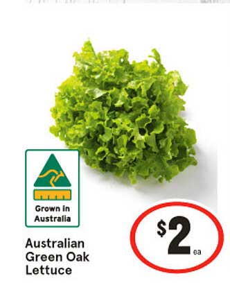 Australian Green Oak Lettuce Offer at IGA - 1Catalogue.com.au