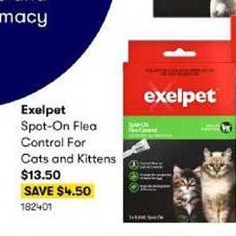 BIG W Exelpet Spot-On Flea Control For Cats And Kittens