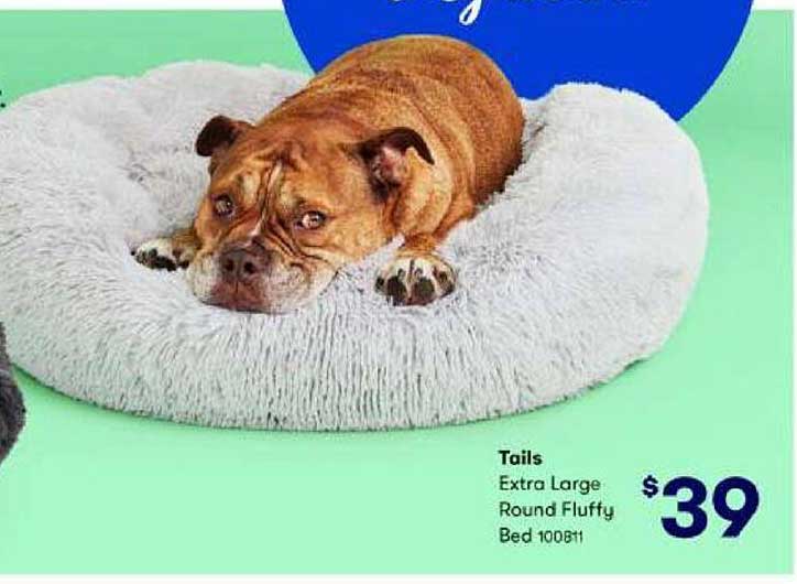 BIG W Tails Bed