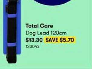BIG W Total Care Dog Lead 120cm
