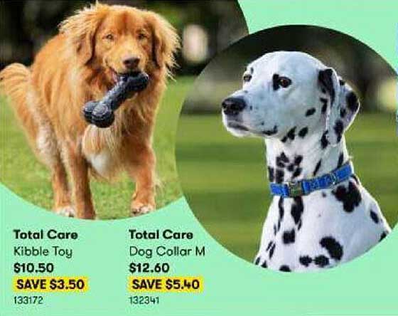 BIG W Total Care Kibble Toy Or Total Care Dog Collar M