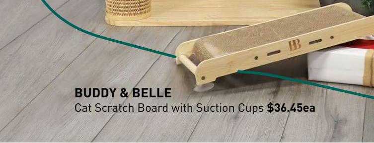 Pet Stock Buddy & Belle Cat Scratch Board With Suction Cups