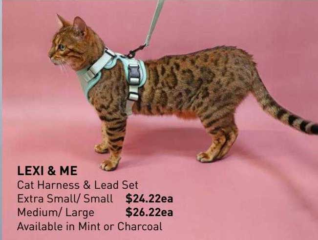 Pet Stock Lexi & Me Cat Harness & Lead Set