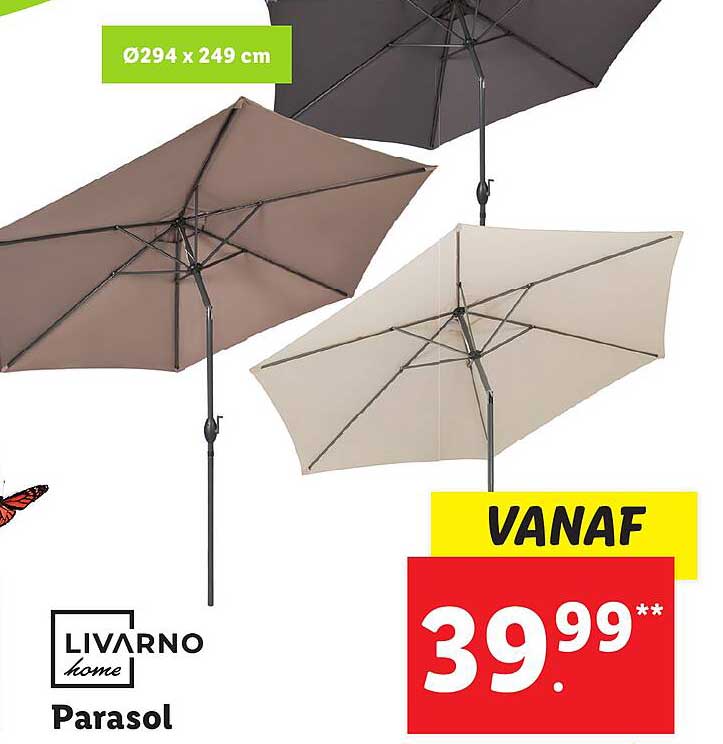 Lidl Parasol 2022
