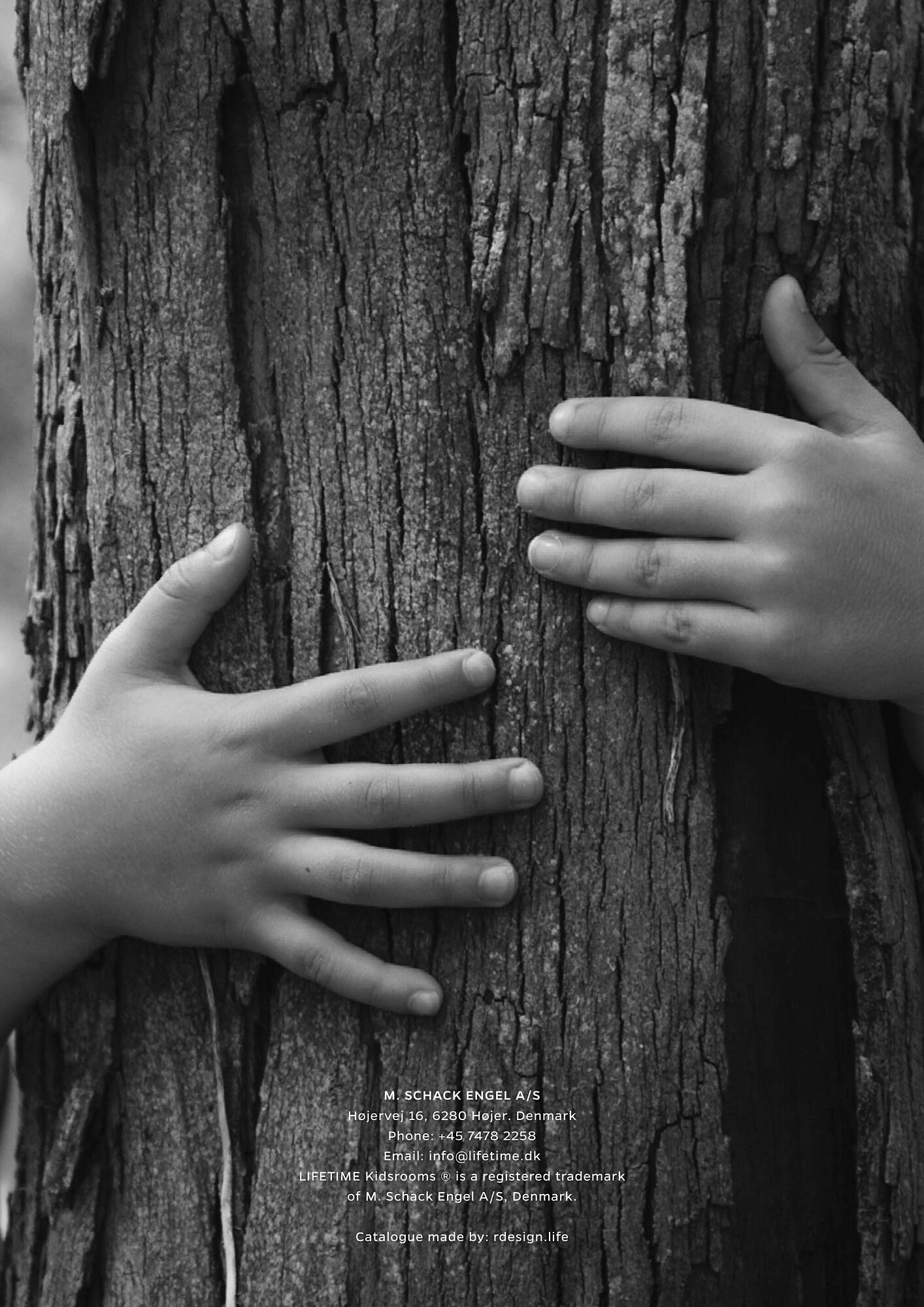 Preloaded hidden image