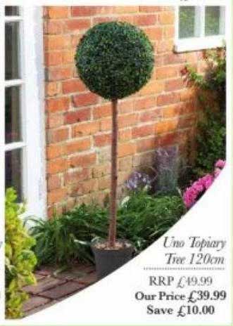Squires Garden Centres Uno Topiary Tree 120cm