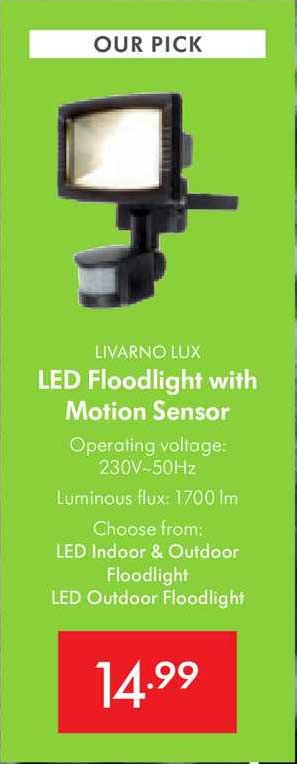 myg Lavet til at huske hed Livarno Lux LED Floodlight With Motion Sensor Offer at Lidl