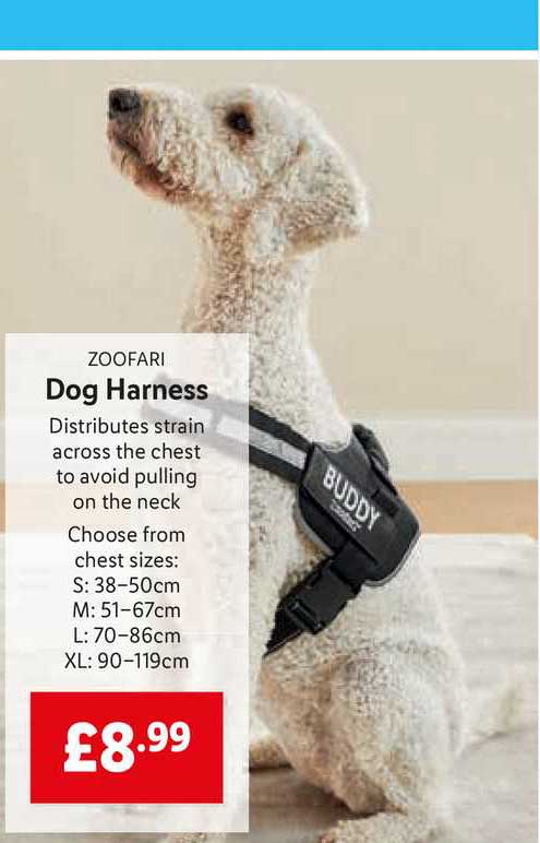 Zoofari Harness at Lidl