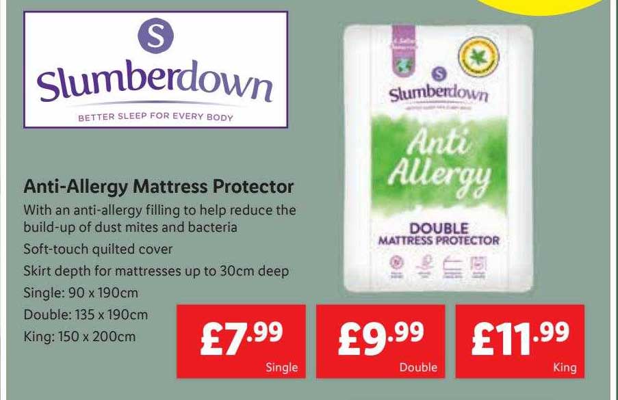 slumberdown anti-allergy mattress protector double
