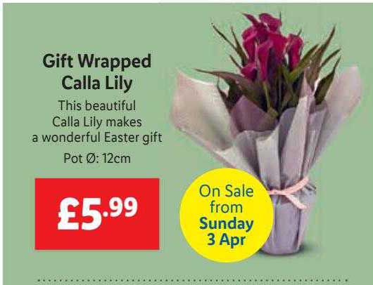 Gift Wrapped Calla Lily Offer at Lidl