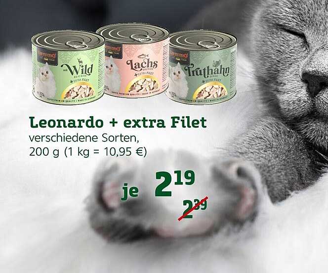 Pflanzen Kölle Leonardo + Extra Filet