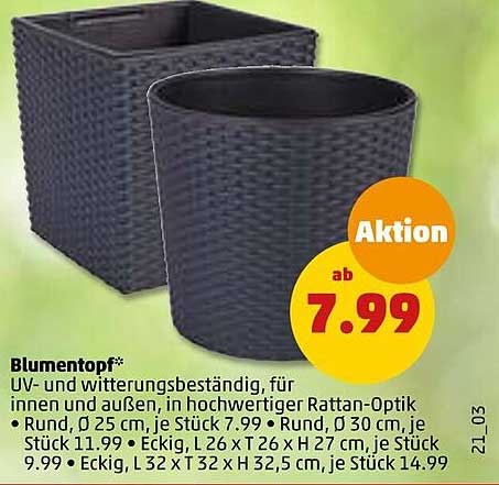 Blumentopf Angebot bei Penny 1Prospekte.de
