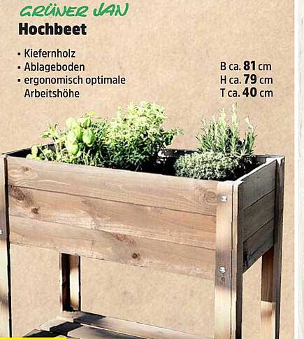 Grüner Jan Hochbeet Angebot bei Thomas Philipps 1Prospekte.de