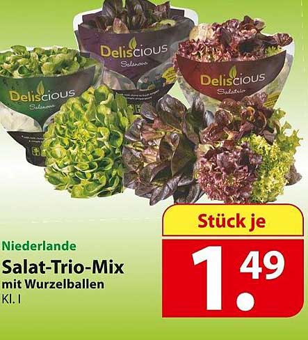 Deliscious Salat Trio Mix Mit Wurzelballen Angebot bei Famila