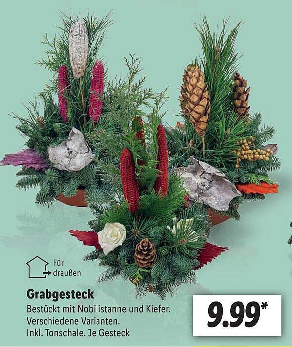 Grabgesteck Angebot bei Lidl 1Prospekte.de