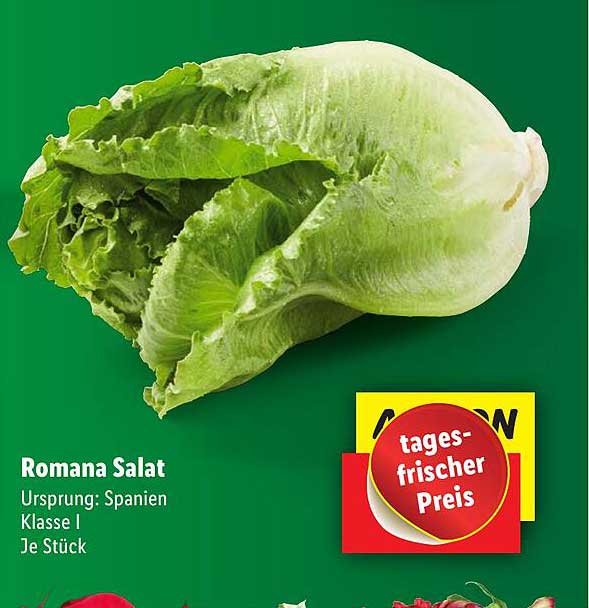 Romana Salat Angebot bei Lidl - 1Prospekte.de
