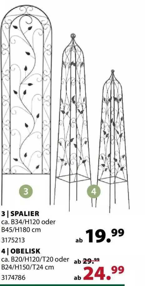 Spalier Oder Obelisk Angebot bei Dehner