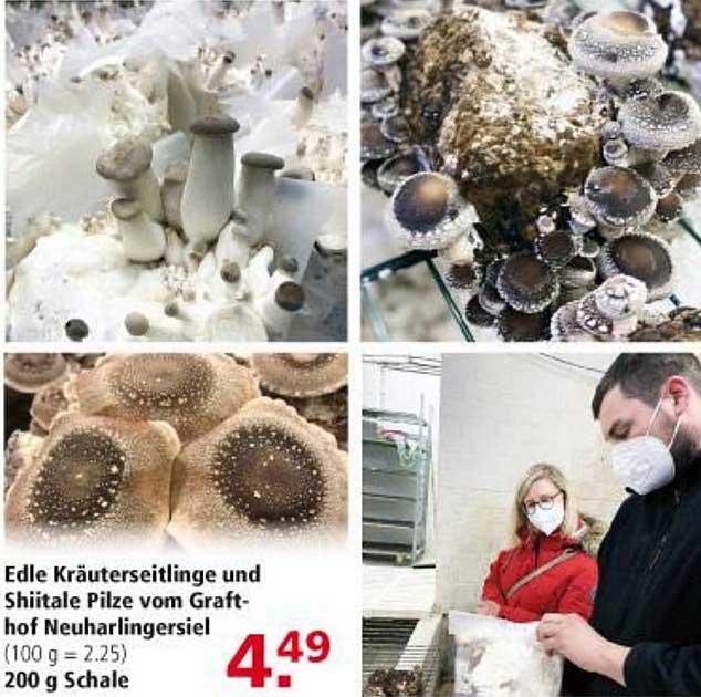 Multi Markt Edle Kräuterseitlinge Und Shiitale Pilze Vom Grafthof Neuharlingersiel