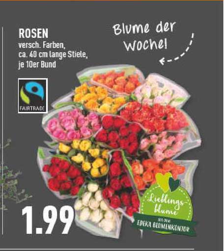 Fairtrade Rosen Trio Fresh Oder Duo Hot Angebot bei REWE