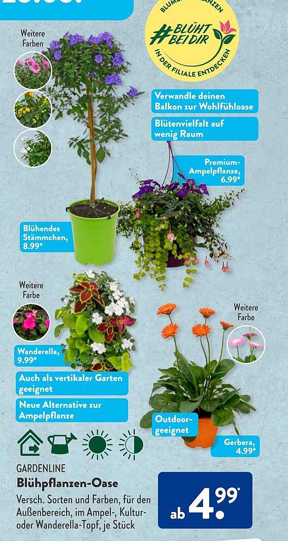 Gardenline Blühpflanzenoase Angebot bei ALDI SÜD 1Prospekte.de