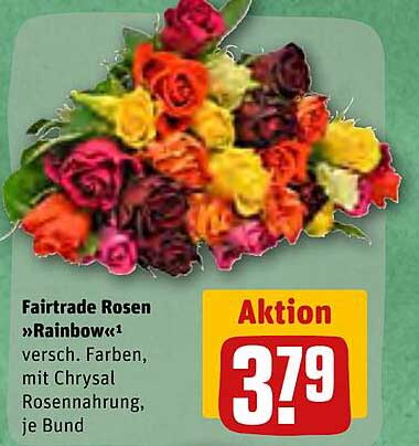 Fairtrade Rosen »rainbow« Angebot bei REWE Kaufpark