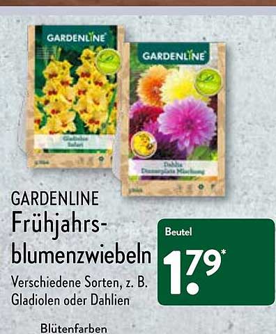 Gardenline Frühjahrsblumenzwiebeln Angebot bei ALDI Nord 1Prospekte.de