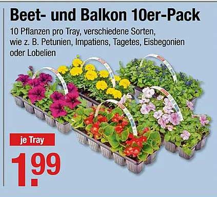 V-Markt Beet- Und Balkon 10er-pack
