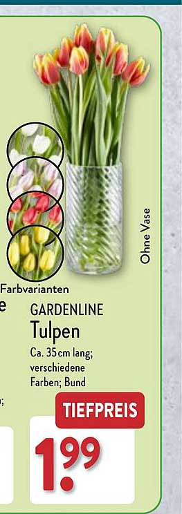 Gardenline Tulpen Angebot bei ALDI Nord 1Prospekte.de