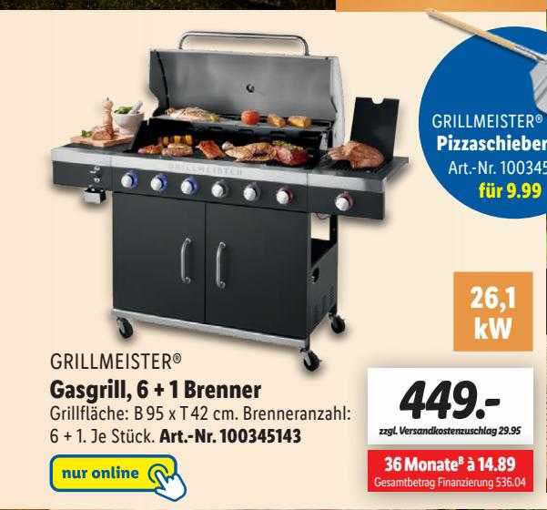 Lamiera In Acciaio Inox Per Barbecue EWH – Ricambio Per Tepro 3661 E Grillmeister 3761 (Lidl) – Made In Germany, V2A, 63,5x36,2 Cm