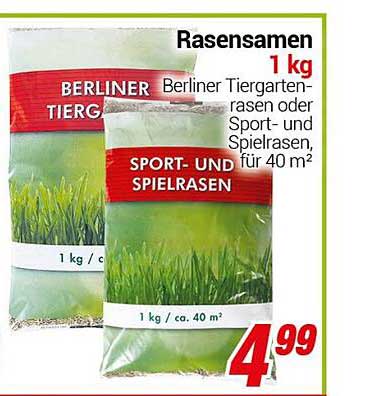 Rasensamen Angebot bei