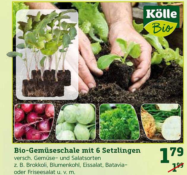 RÖSLE Hähnchenbräter Mt Gemüseschale Grllschale, Edelstahl 18/0, Für