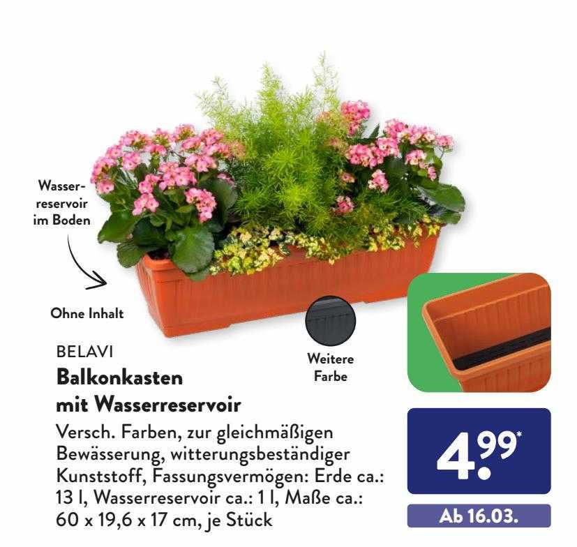 Belavi Balkonkasten Mit Wasserreservoir Angebot bei ALDI SÜD