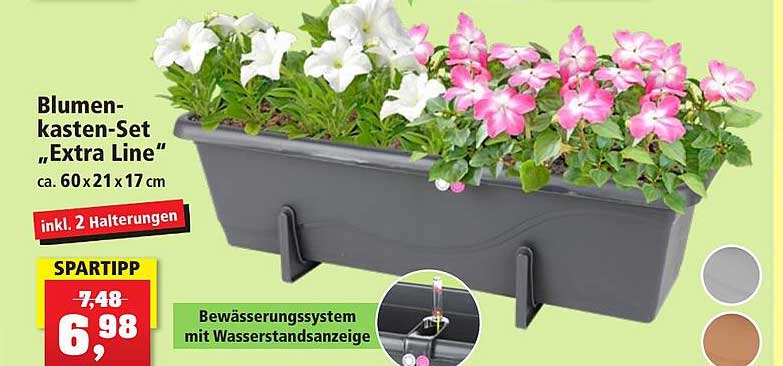 Blumenkastenset „extra Line“ Angebot bei Thomas Philipps