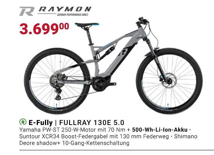Fahrrad XXL Raymon E-fully Fullray 130e 5.0