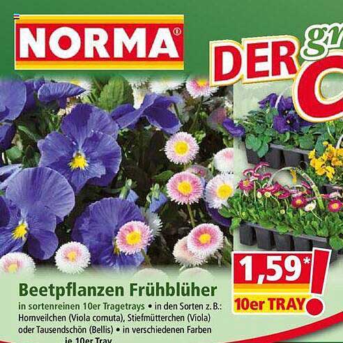 Norma Pflanzen Diese Woche