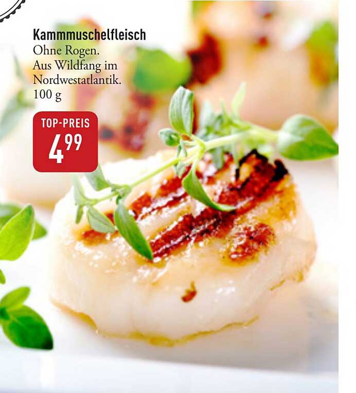 Kammuschelfleisch Angebot bei DINEA - 1Prospekte.de