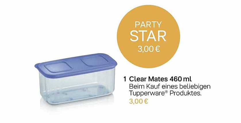 Tupperware Clear Mates 460 Ml
