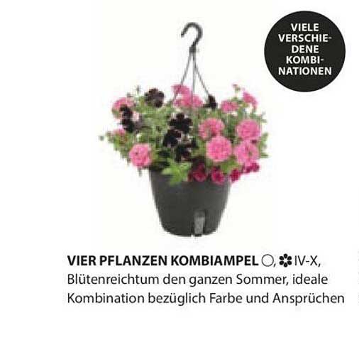 Vier Pflanzen Kombiampel Angebot bei Dehner 1Prospekte.de