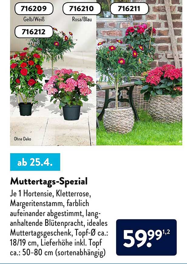 Muttertags-spezial Angebot bei ALDI Nord - 1Prospekte.de