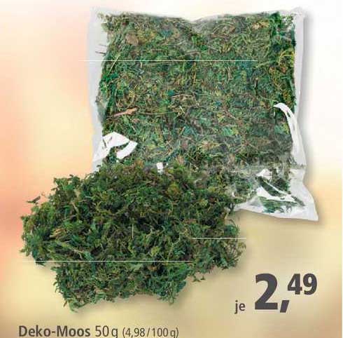 Deko-moos Angebot bei Pfennigpfeiffer