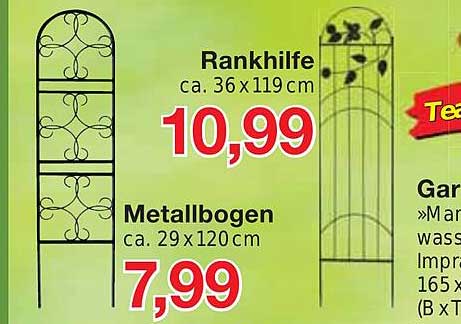 Rankhilfe In Zwiebelform Angebot bei Thomas Philipps