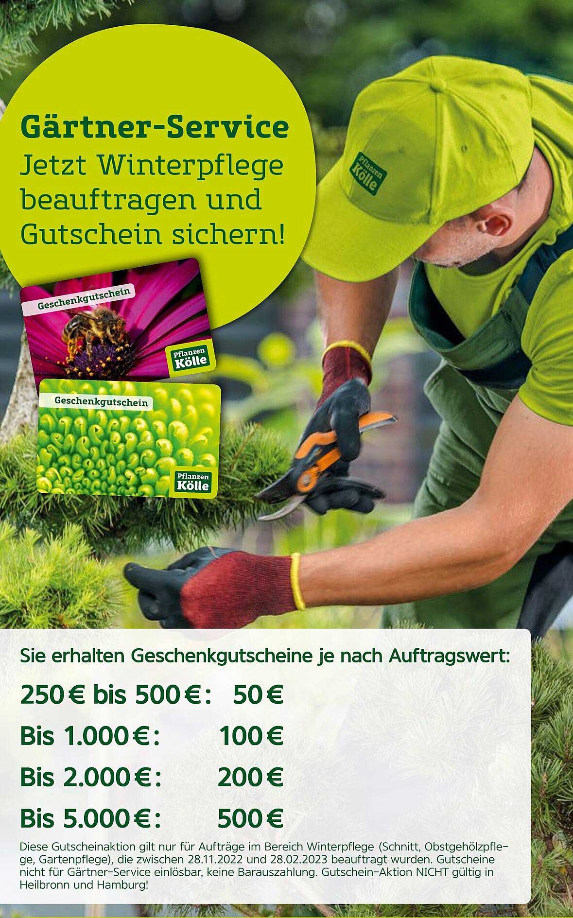 Pflanzen Kölle Gärtner-service