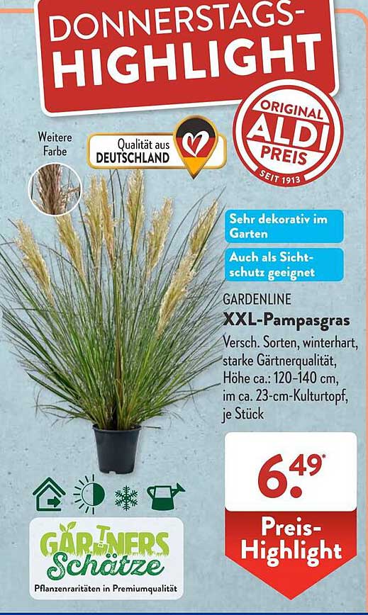 Gardenline XXLpampasgras Angebot bei ALDI SÜD 1Prospekte.de