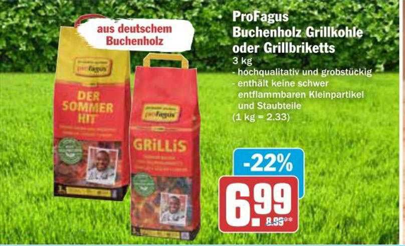 ProFagus Grillis Holzkohlebriketts 2,5kg - Buchenholz Für Perfektes Grillvergnügen