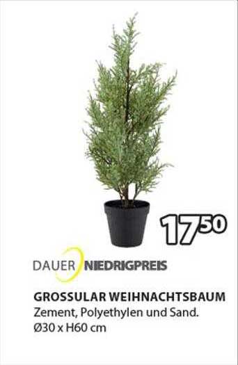 Jysk Dauer Niedrigpreis Grossular Weihnachtsbaum