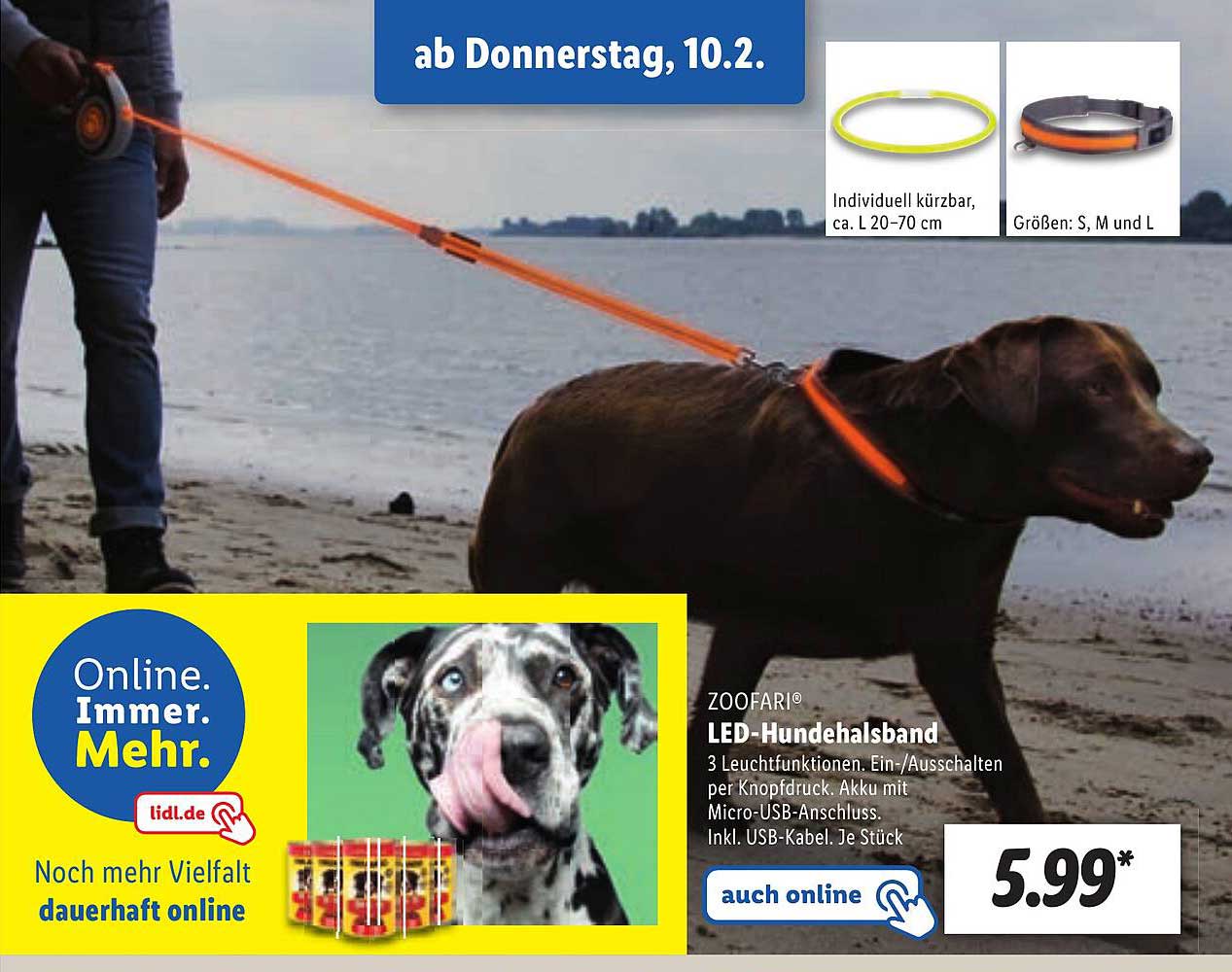 Zoofari Led-Hundehalsband Angebot bei Lidl | Hundezubehör
