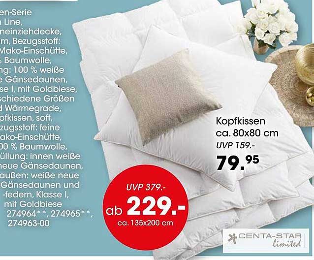 Kopfkissen Angebot bei Mobel Martin
